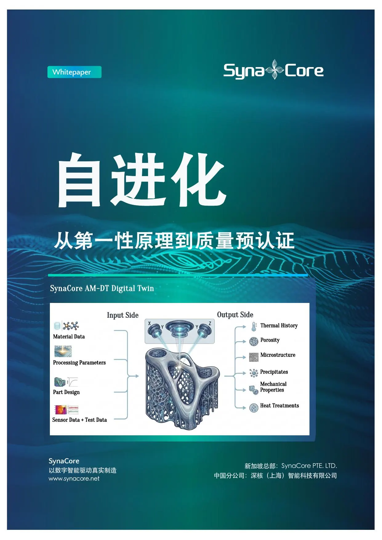 白皮书 2 封面